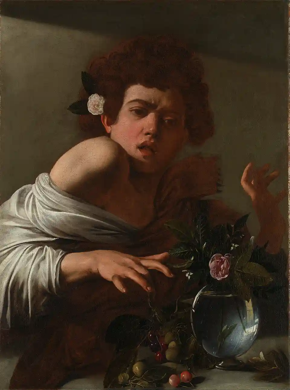 Boy Bitten by a Lizard
